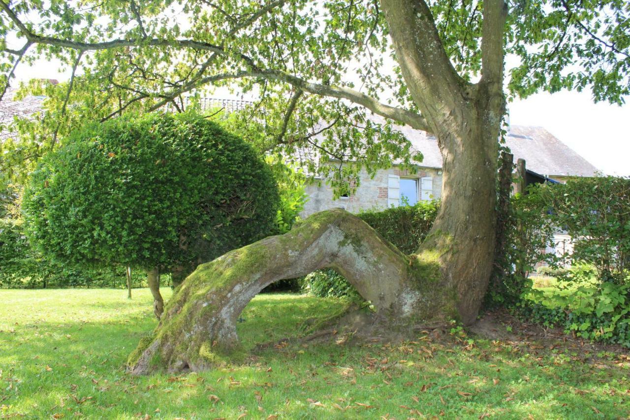 Gite De L'Ehm Villa Custinne Buitenkant foto