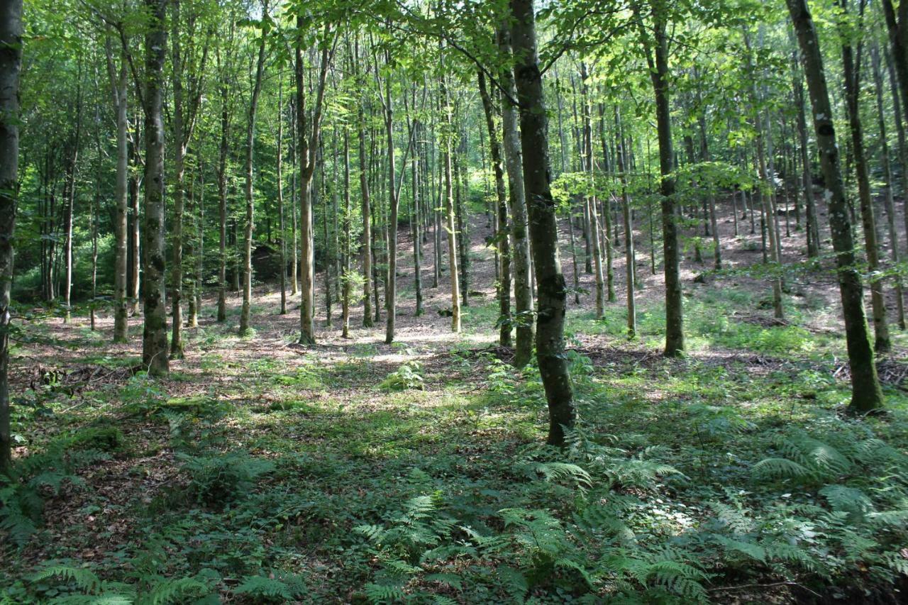 Gite De L'Ehm Villa Custinne Buitenkant foto